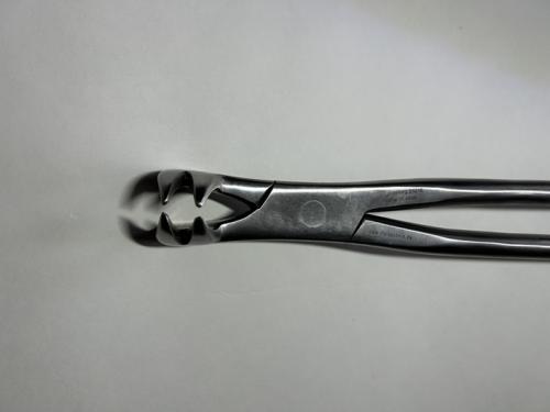 Preview: Forceps P